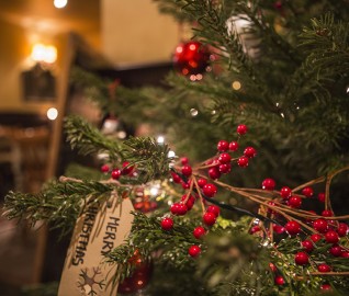 where to buy Christmas tree in london